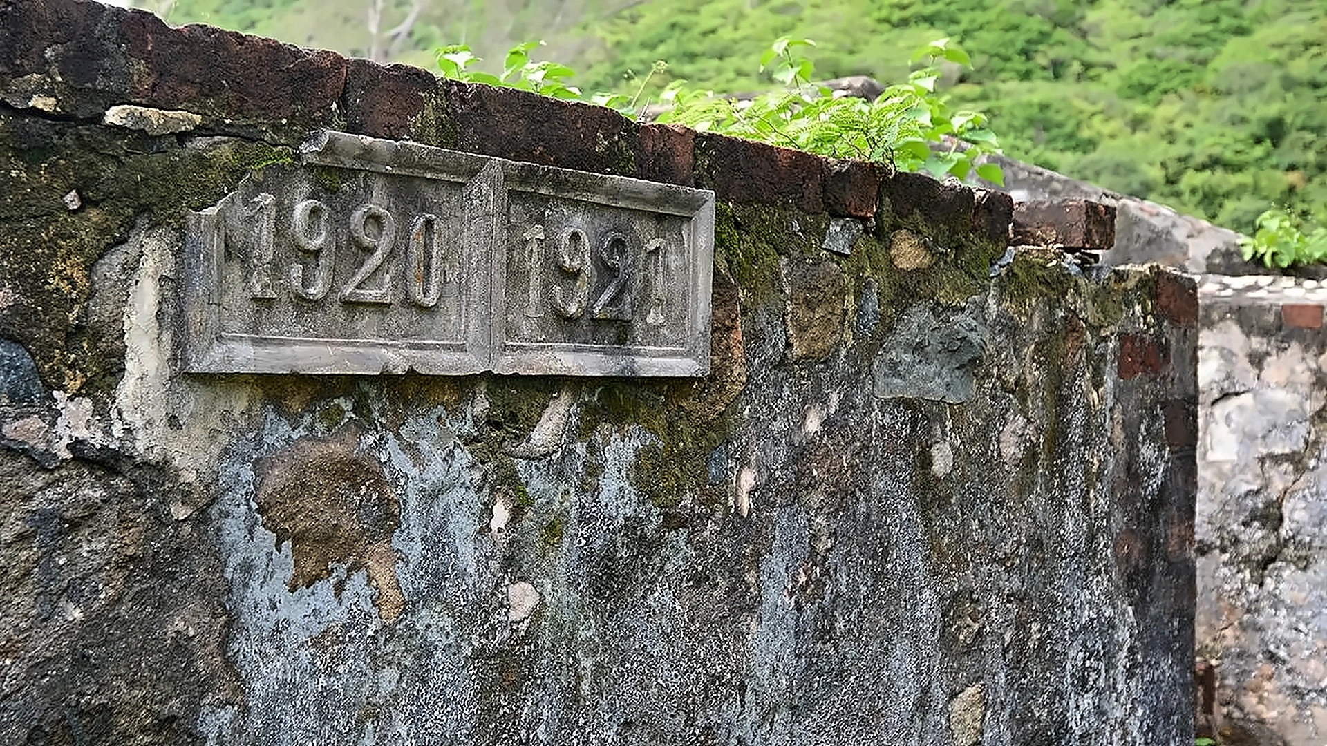 Half-day tour | Cycling Tour and Vegetarian Cooking Experience in Con Dao Island